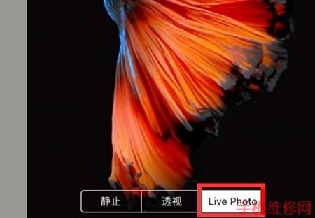 南京苹果维修点告诉你iPhone动态壁纸怎么设置？苹果XS Max设置live photo方法