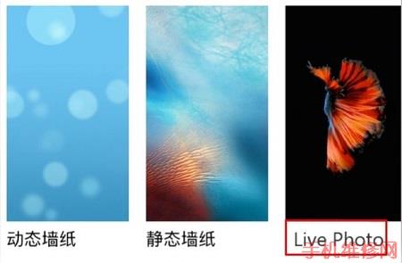南京苹果维修点告诉你iPhone动态壁纸怎么设置？苹果XS Max设置live photo方法 